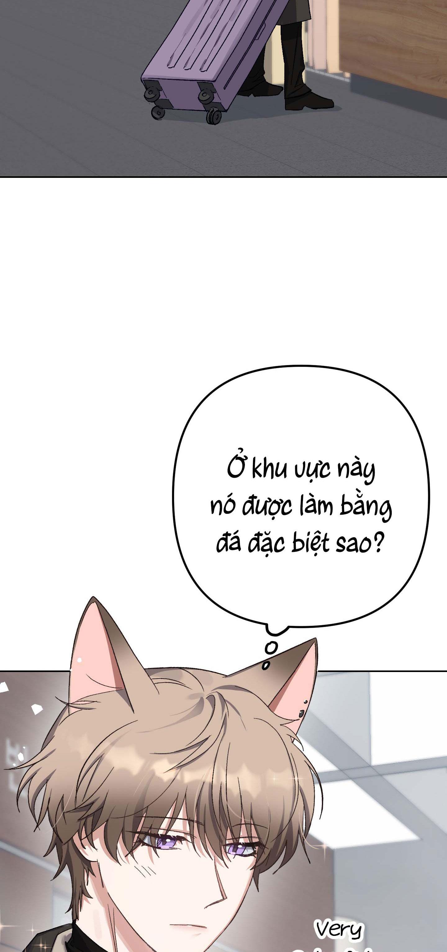 thỏ nhỏ xuất tinh trong 3 giây chapter 1 4