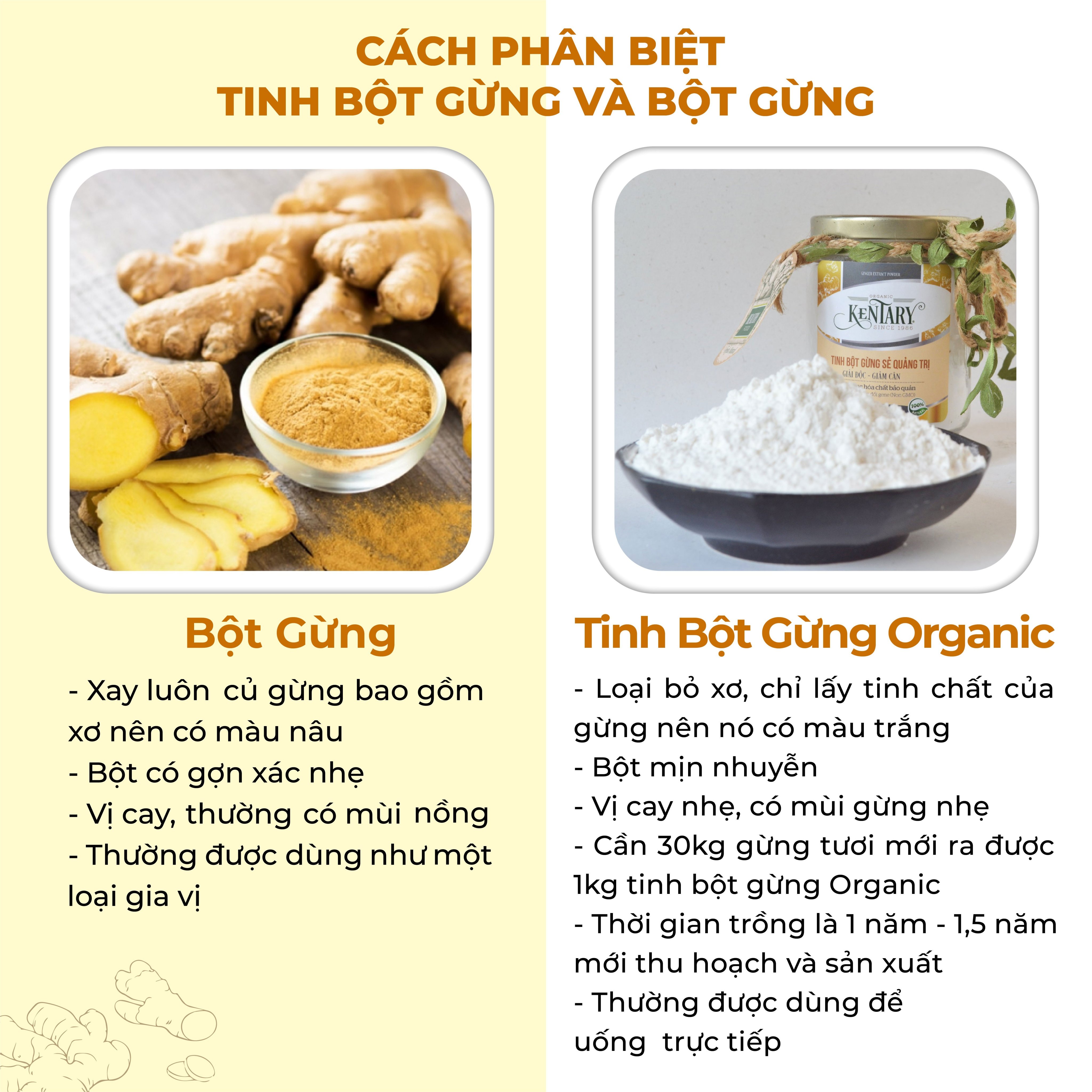 Tinh Bột Gừng Sẻ Nguyên Chất Thuần Khiết Từ Thiên Nhiên Kentary - 100gram