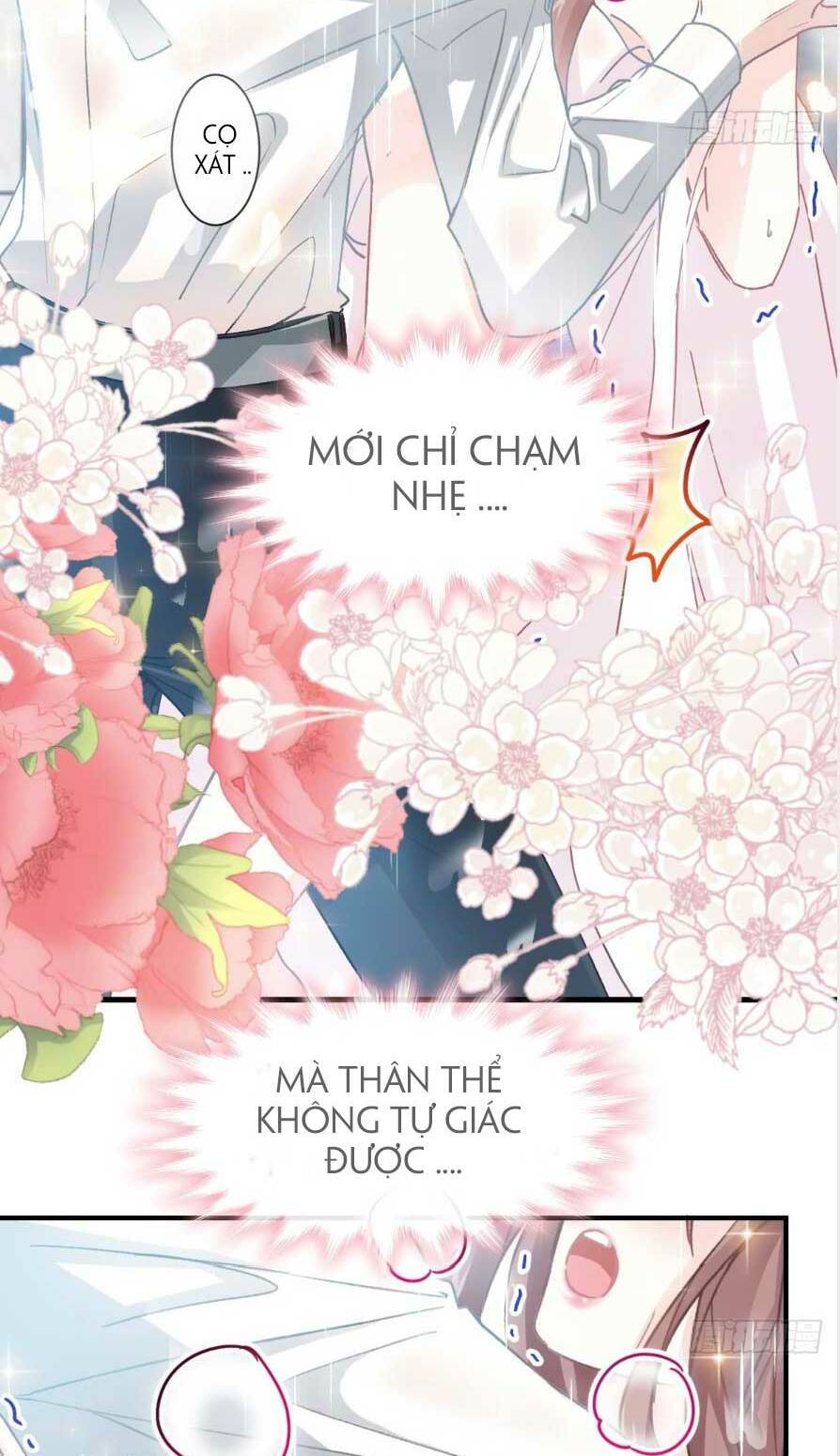 bá đạo tổng tài nhẹ nhàng yêu chapter 52.1 15