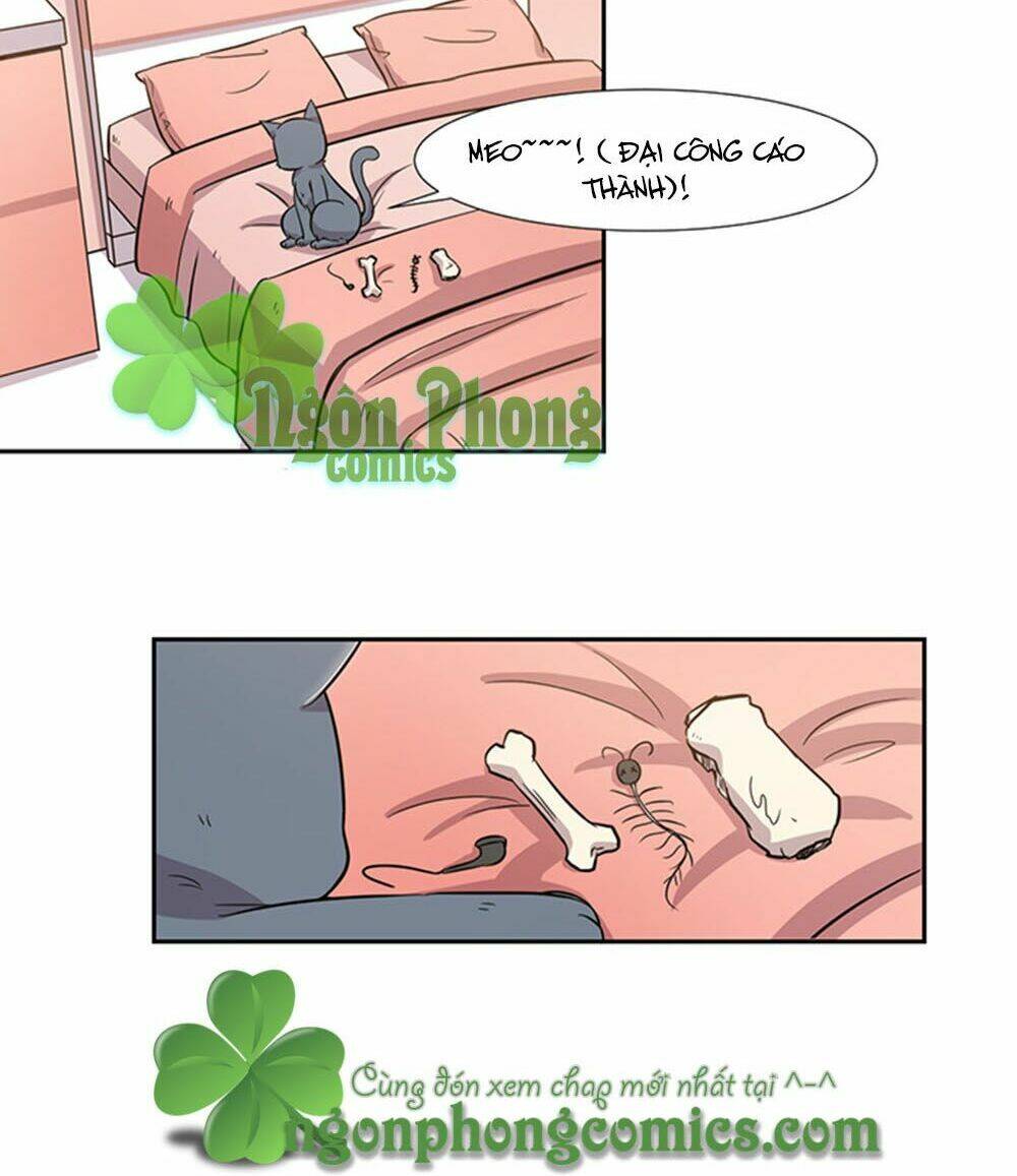 hai chú mèo totem chapter 27 13