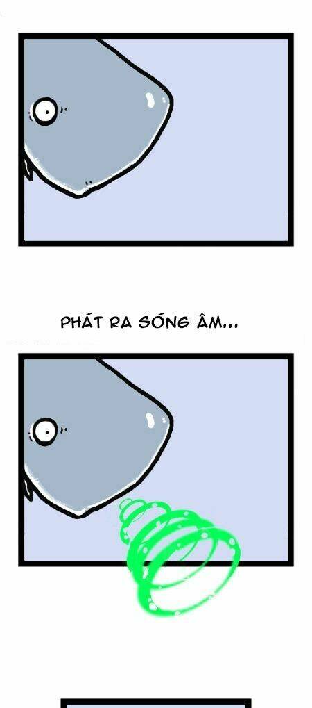 earth, human, and animal chapter 13 14