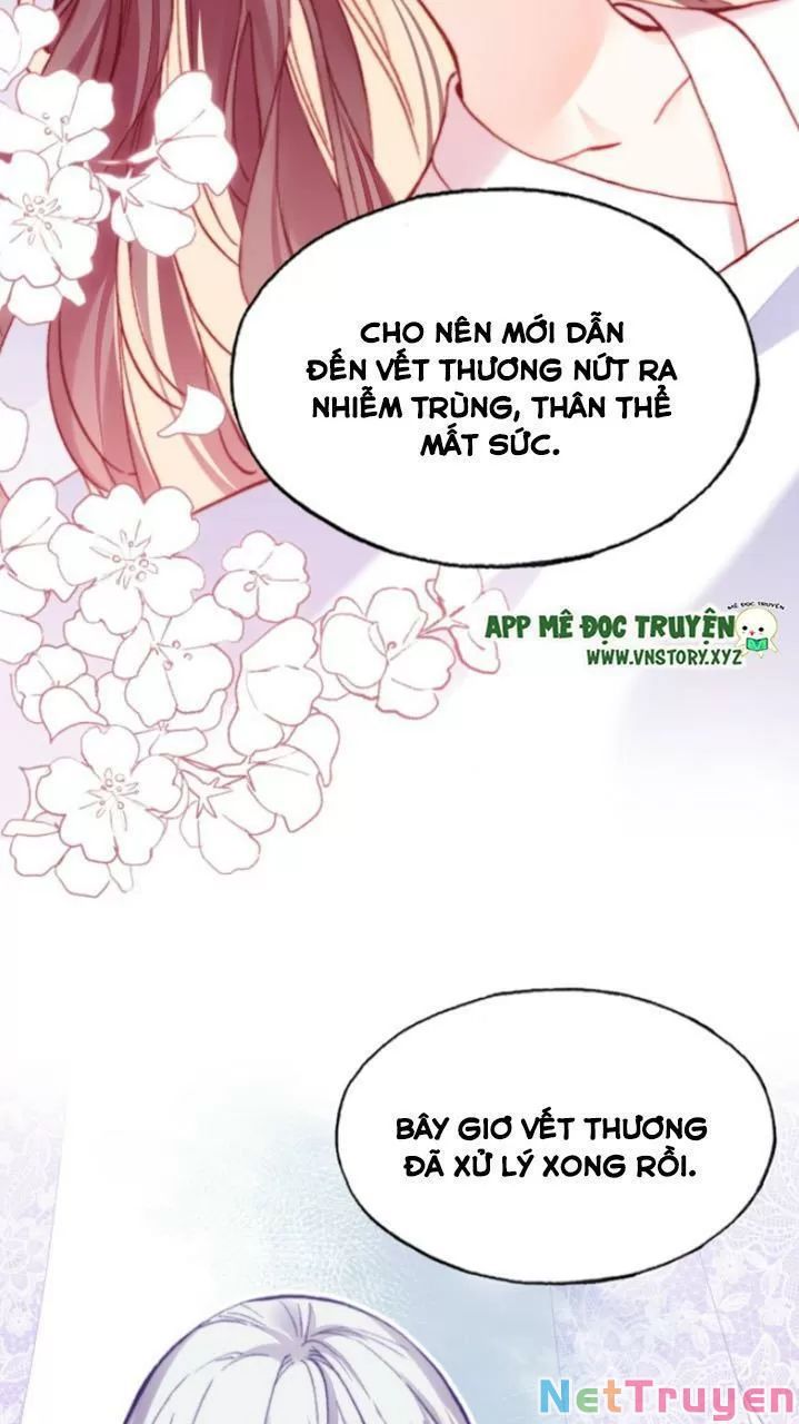 lại bị bệnh chiều chuộng quấn lấy chapter 26 26