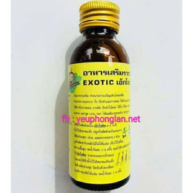 Exotic siêu ra rễ Thái Lan - 100ml