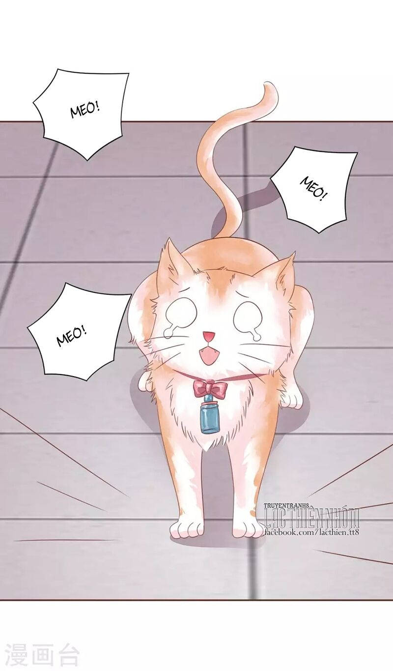 đào tạo nuôi dưỡng bạn trai mèo chapter 48 3