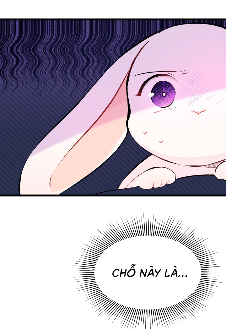 mối liên kết giữa báo đen và bé thỏ chapter 7 4