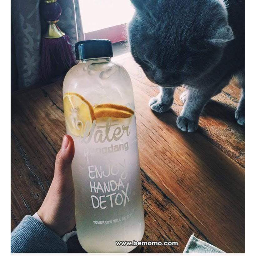 Combo 5 bình Bình nước Detox 1000ml