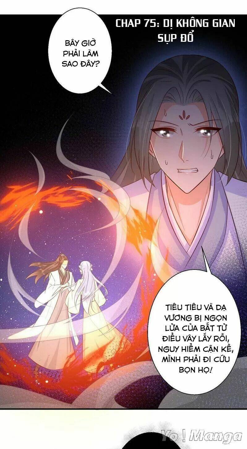 độc y cuồng phi chapter 75 1