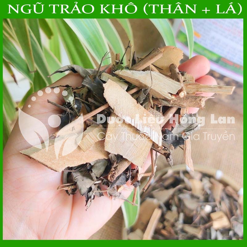Lá Cây Ngũ Trảo khô sạch đóng gói 1kg