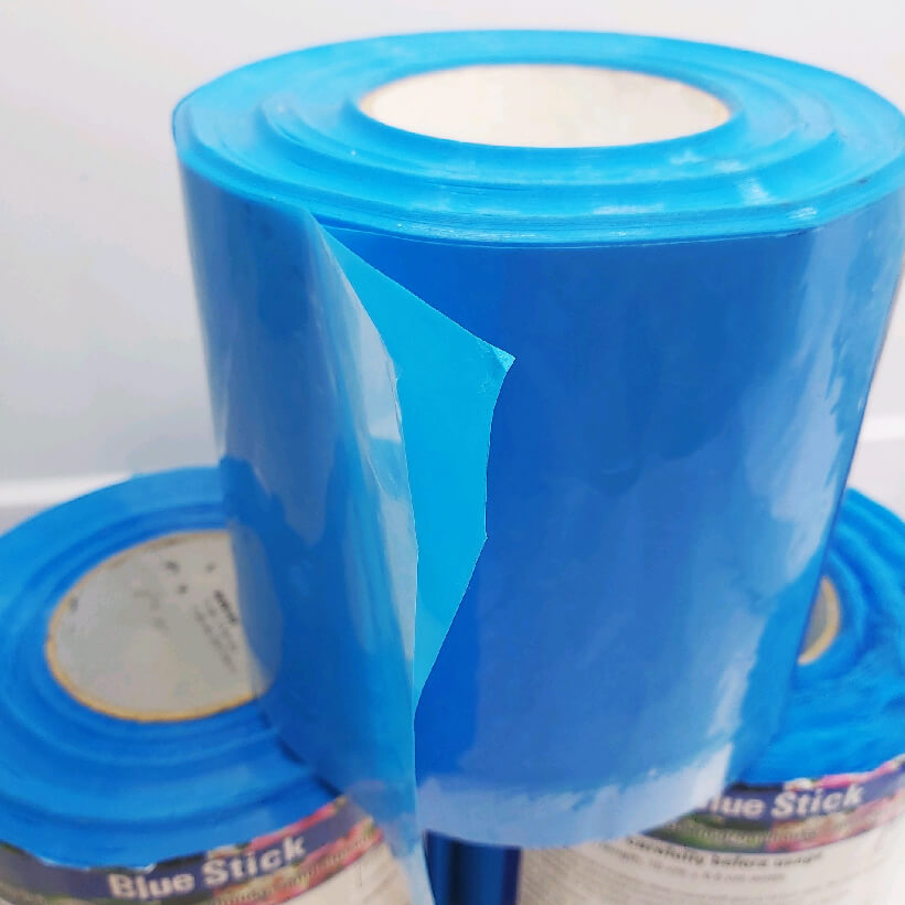 Keo dính Màu Xanh nhập khẩu Israel Blue Trap dùng Diệt Bọ Trĩ gây hại nông nghiệp và hiệu lực keo trên 8 tháng chịu mưa nắng và nước tưới