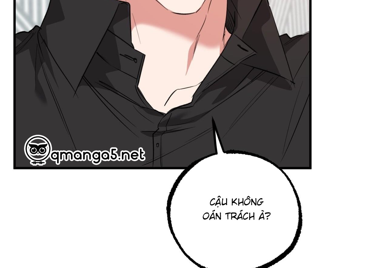 những chú thỏ của hapypy chapter 60 227