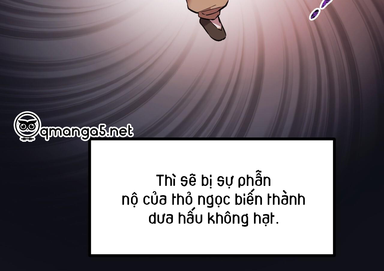những chú thỏ của hapypy chapter 63 90