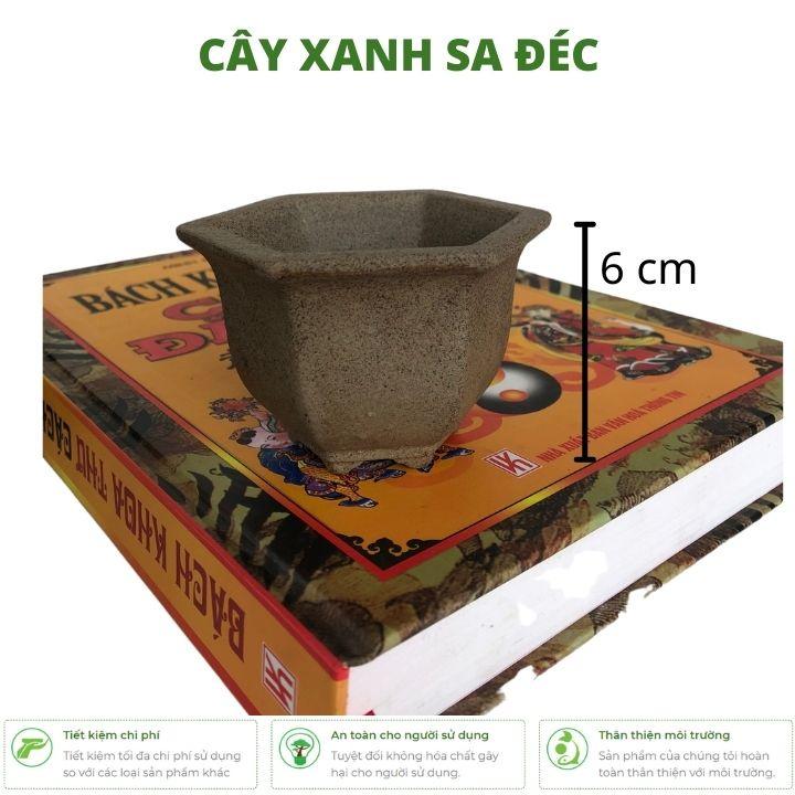Chậu lục giác mini đáy xuông CK1A và đáy bầu CK1B cho bonsai mini để bàn, sen đá, xương rồng