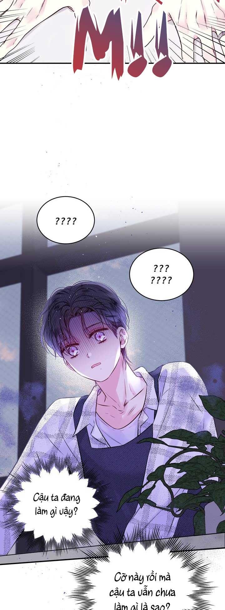 bình minh thứ hai chapter 74 25