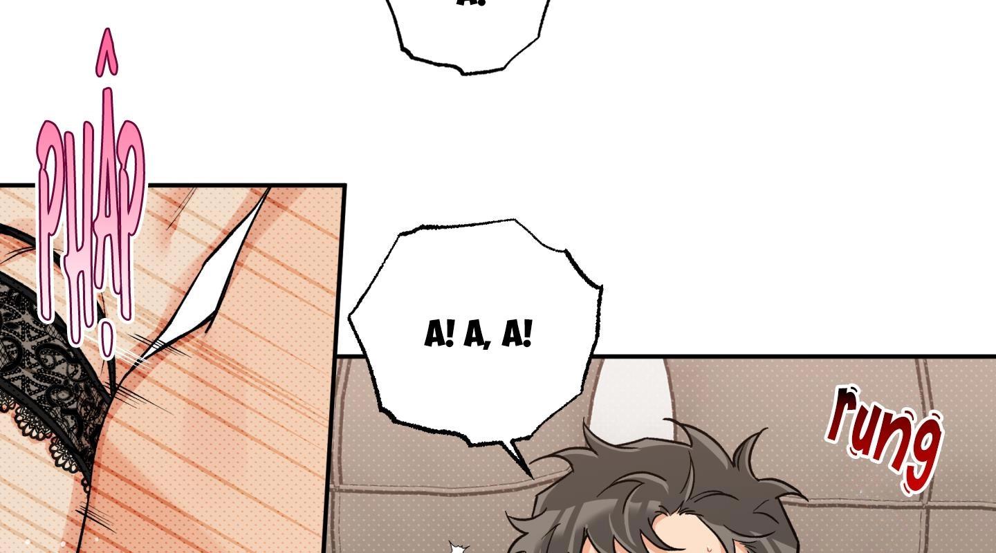 gâu gâu! chapter 55 72