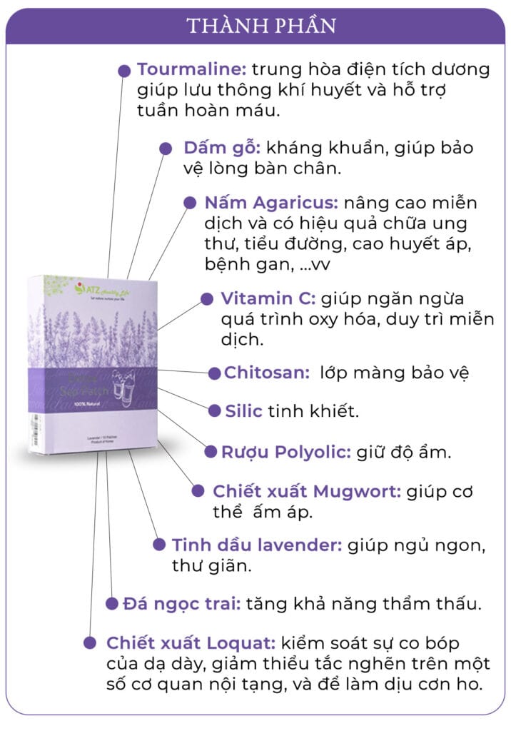 Inforgraphic Cao Dan Lavendermota copy 4