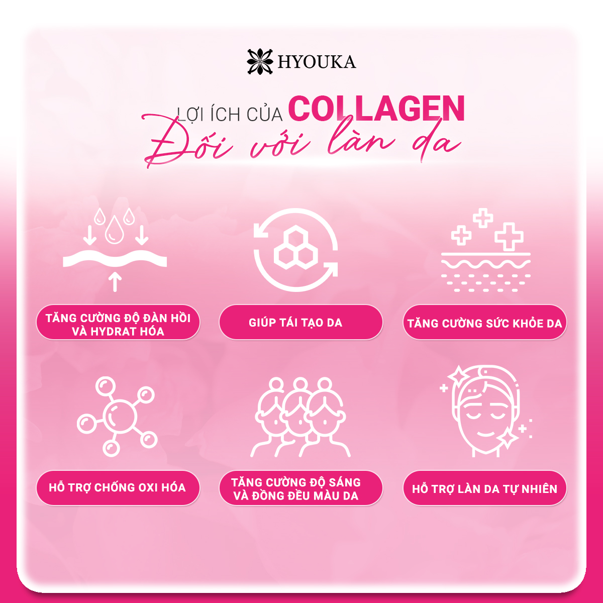 [Hộp 12 lon] Nước Collagen Hiyori thuỷ phân trẻ hoá trắng da, Nước uống đẹp da