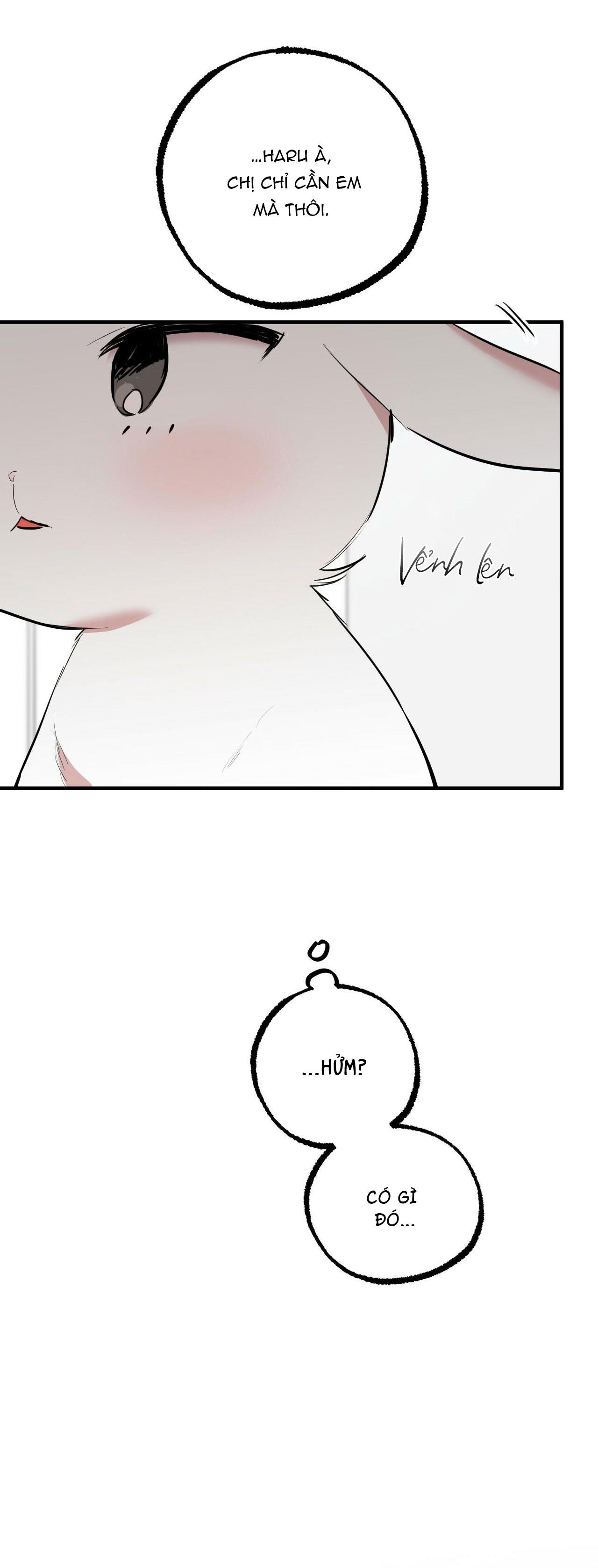 những chú thỏ của hapypy chapter 36 6