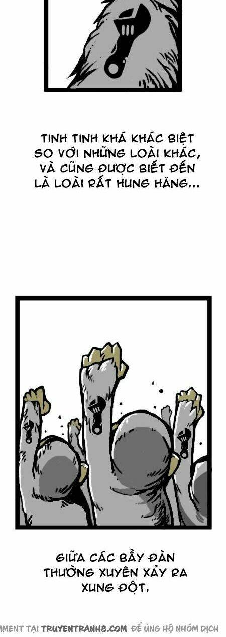 earth, human, and animal chapter 15 11