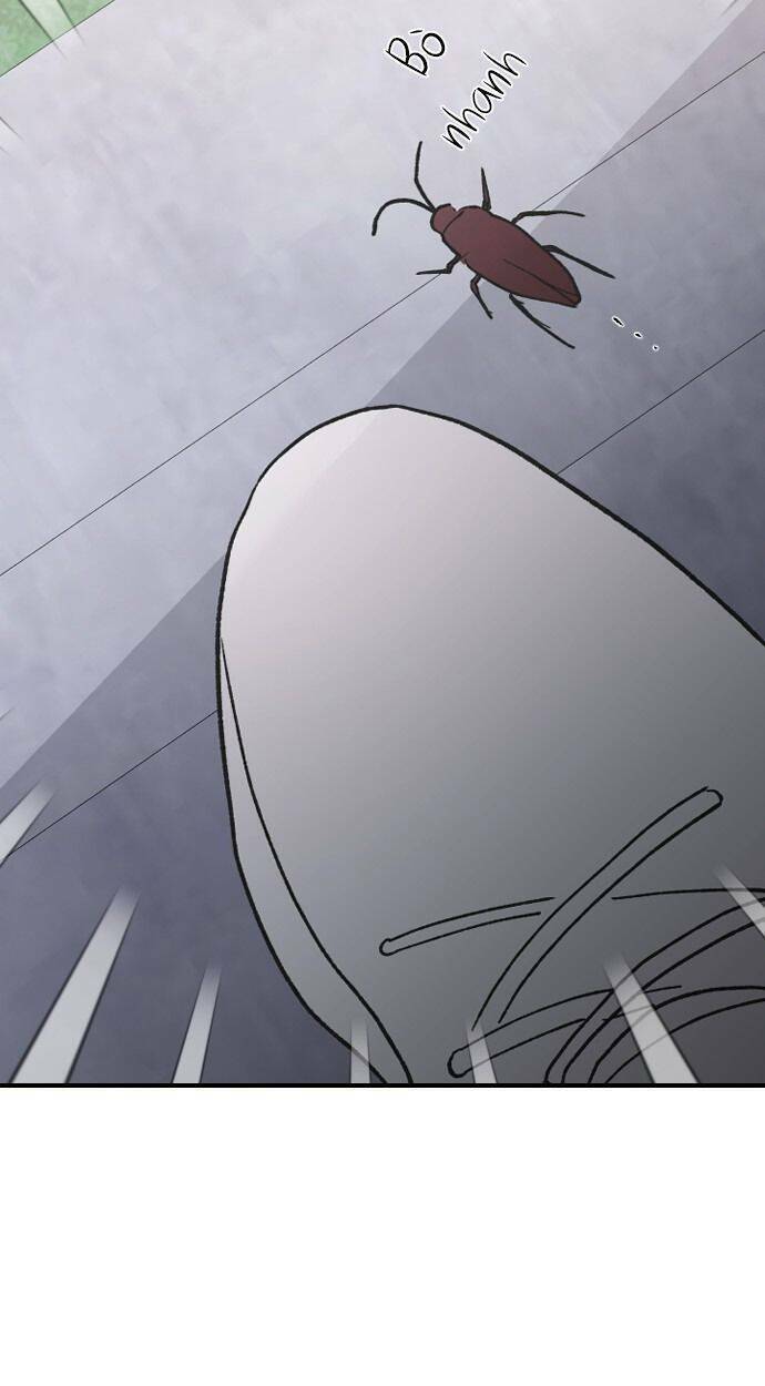 ba người anh trai cực phẩm của tôi chapter 49 113