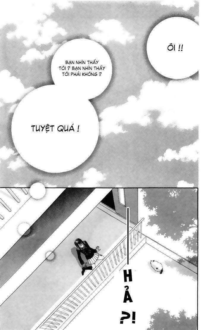 cung đàn vàng chapter 1 35