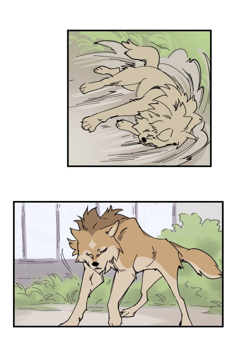 lumine - cội nguồn ánh sáng chapter 151 6