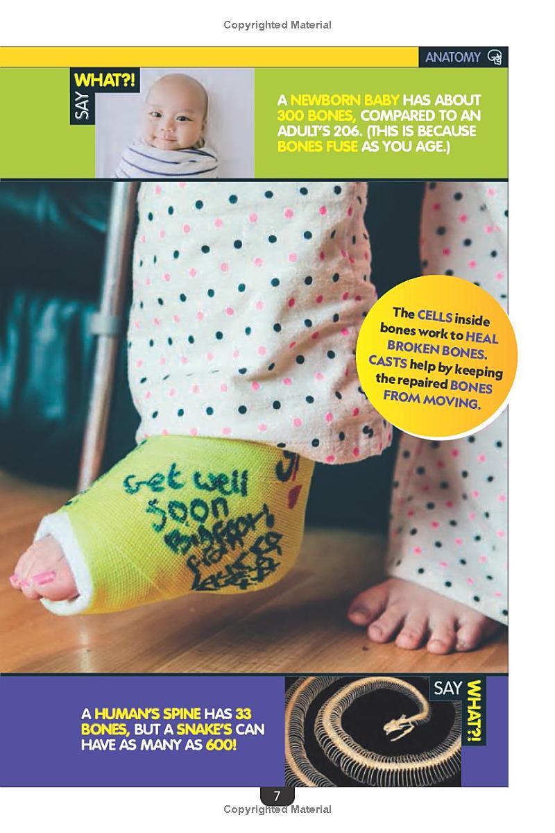 Sách ngoại văn: Why? The Human Body