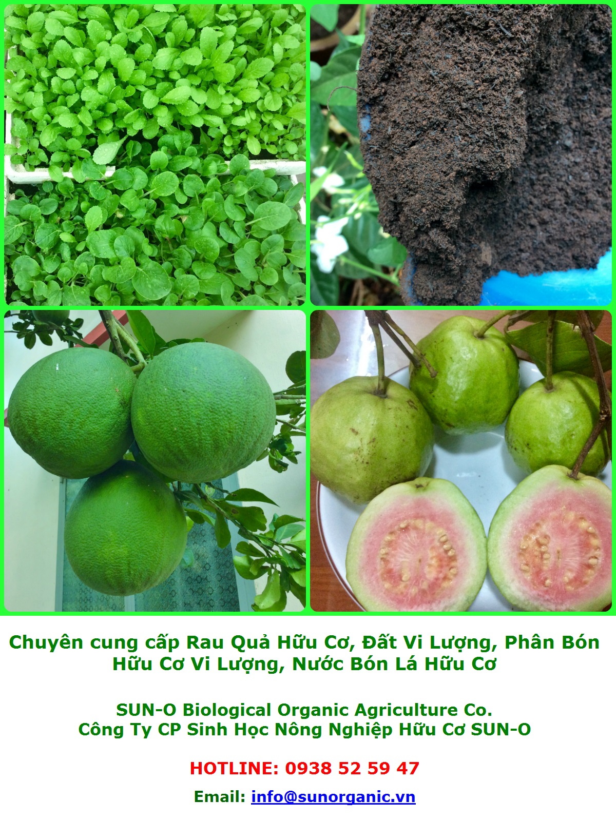 5L Phân Hữu Cơ Vi Sinh Can 5L pha ra 1500L Bón Rau, Cây Ăn Trái & Hoa Cảnh