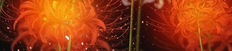 mấy độ cẩm nguyệt say cũng liễu chapter 3 42