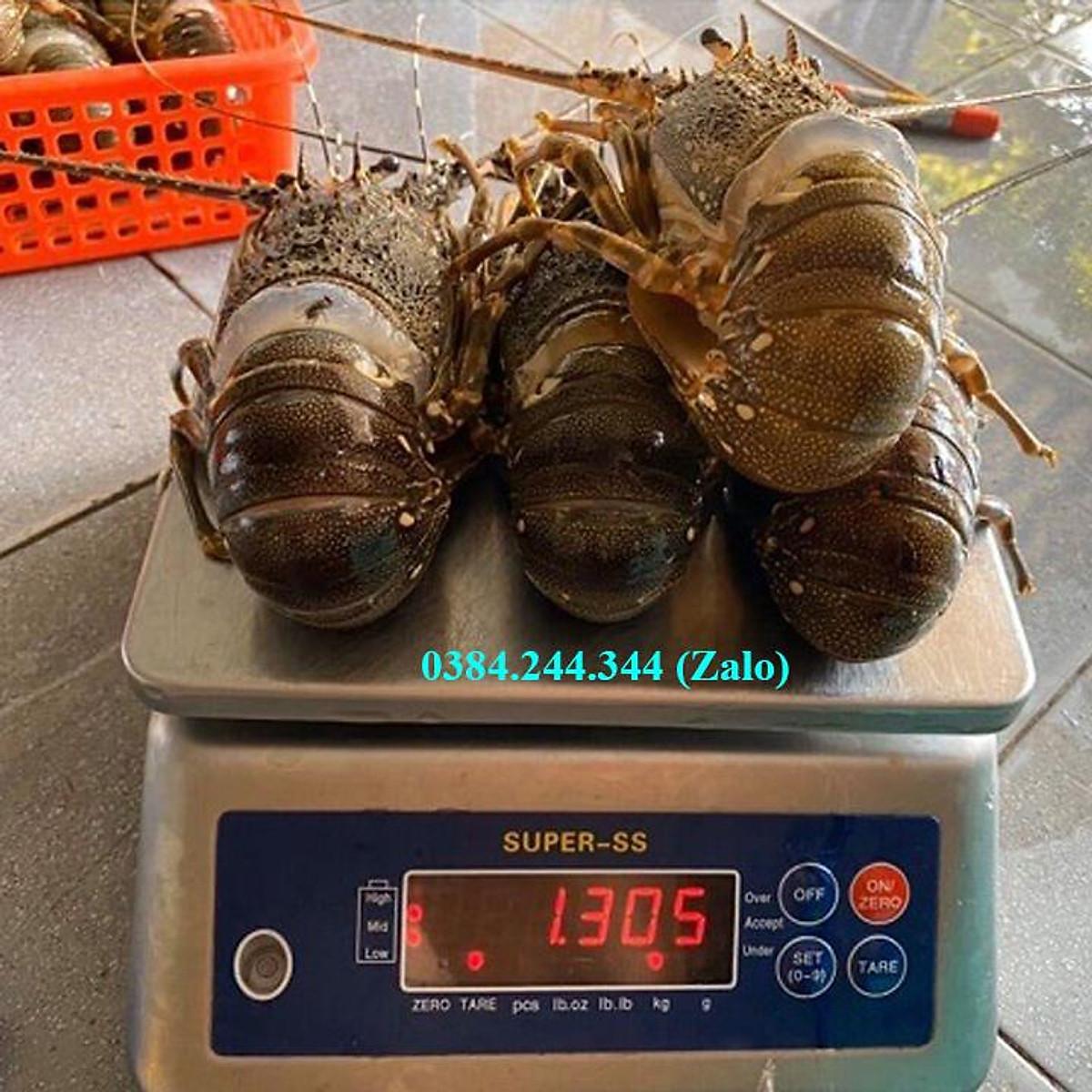 Cân điện tử chống nước Super SS, mức cân tối đa 6kg, độ chia 1g