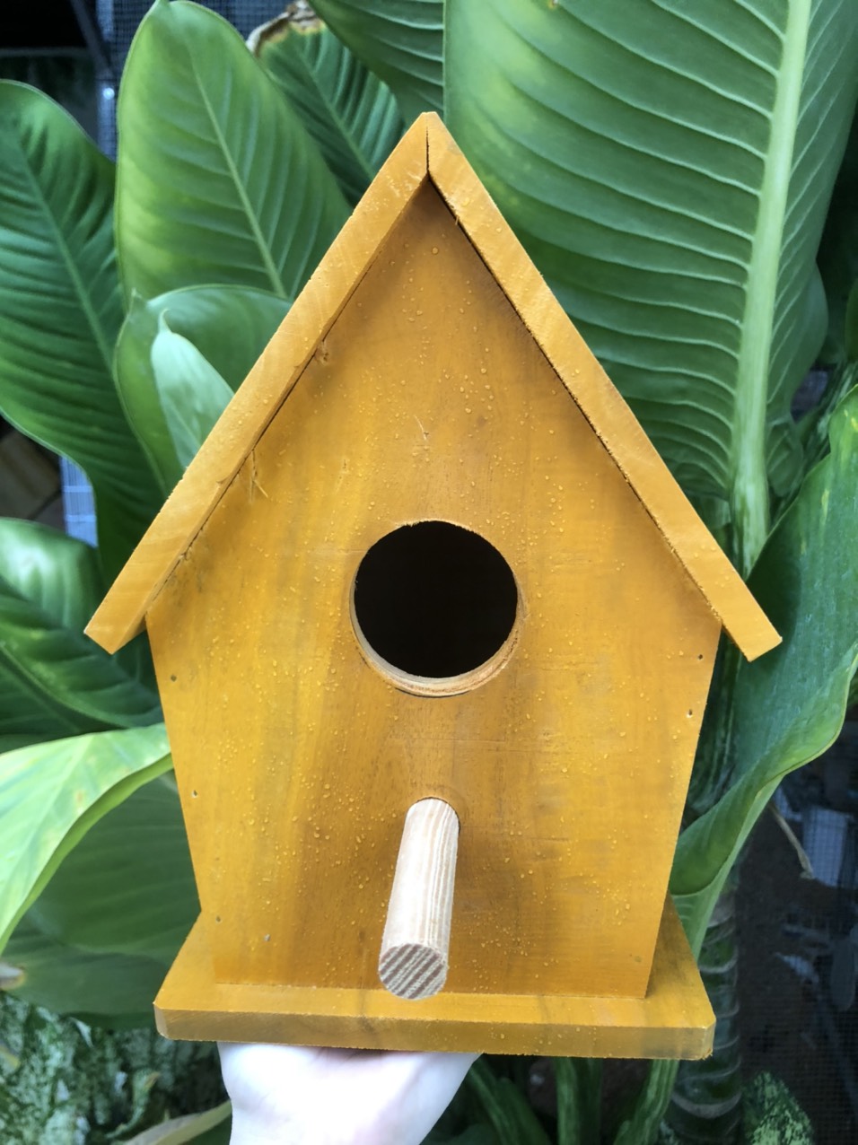 Tổ gỗ cứng mái nhà đủ màu dành cho chim, vẹt dòng nhỏ như : finch, yến phụng, 7 màu, lovebird, ....