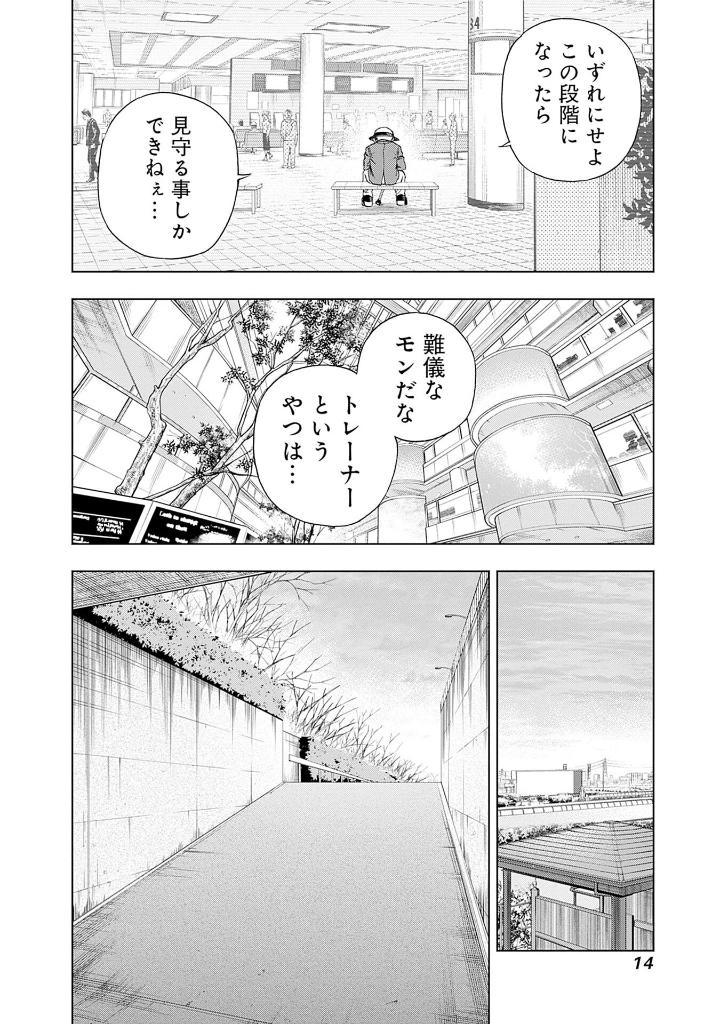 Sách ngoại văn: Uma Musume Cinderella Gray 16 (Japanese Edition)