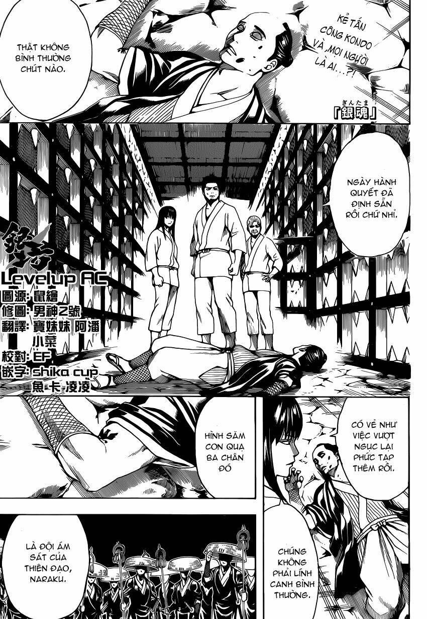 gintama - linh hồn bạc chapter 531 2