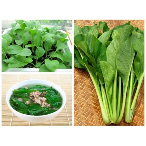 Hạt Giống Cây Rau Cải Ngọt - 20 Gram