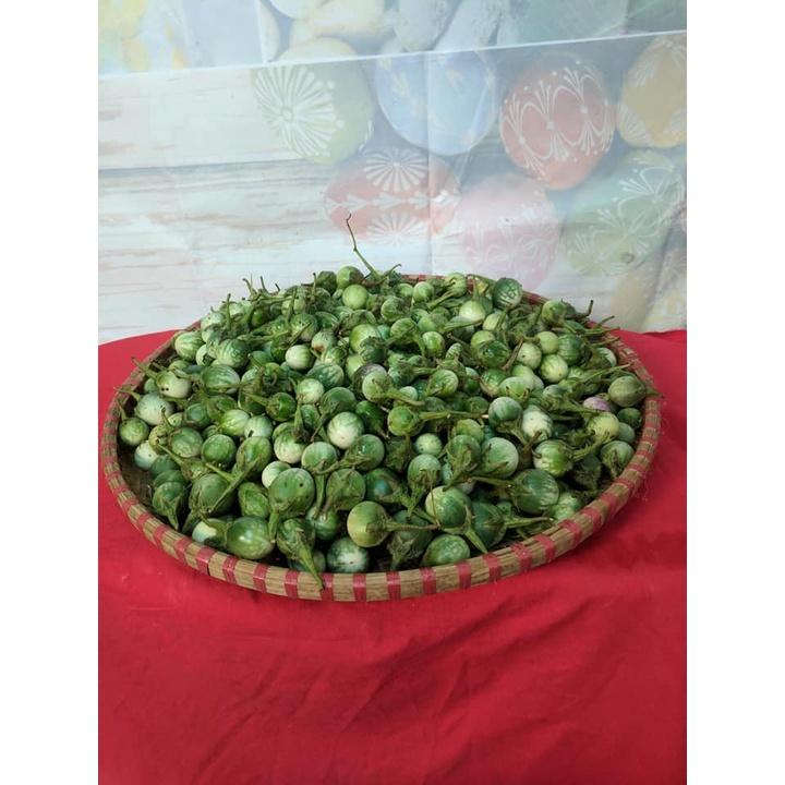 Hạt giống cà đắng Tây Nguyên CKNS365 - Gói 20 hạt