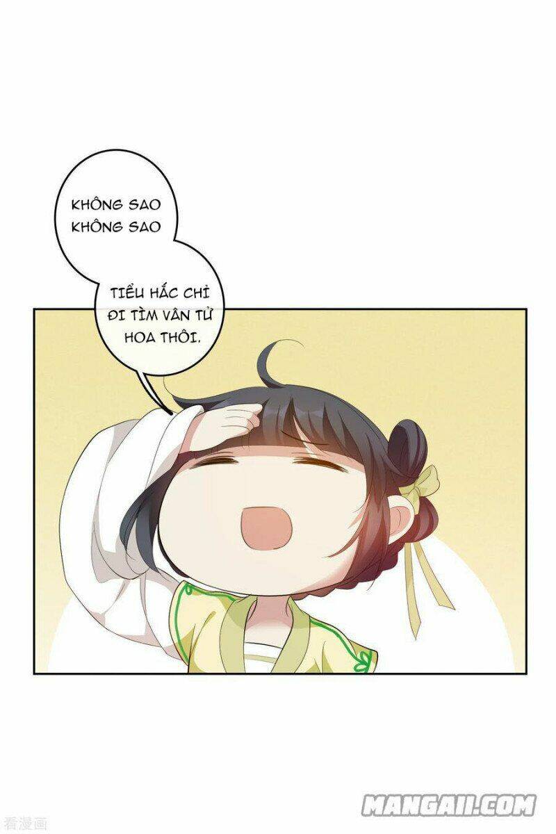 toàn cơ từ chapter 65.1 3