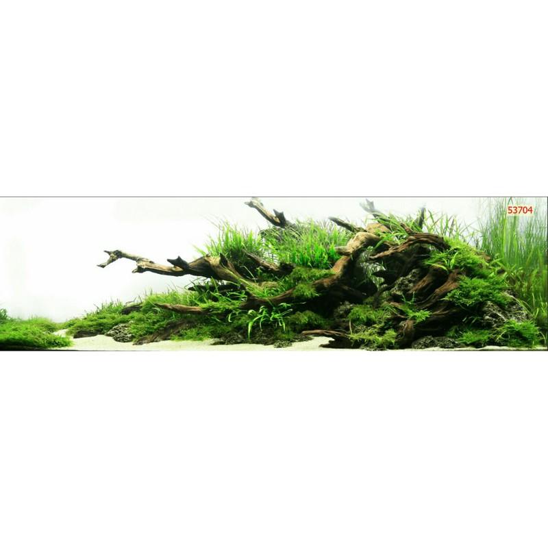 Tranh 3D dán bể cá cảnh KT 120cm*60cm có keo sẵn
