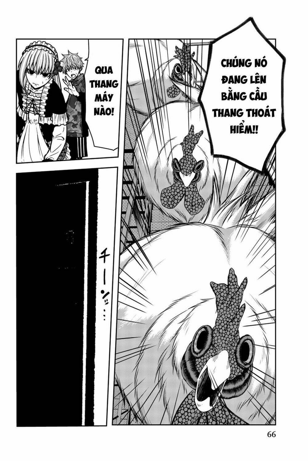 tiếng gáy sát thủ chapter 24 16