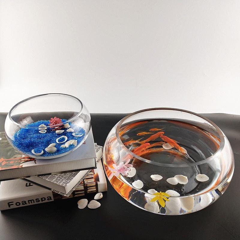 Chậu thủy tinh tròn thấp đường kính 20 cm nuôi cá cảnh nhỏ, trồng cây thủy sinh, mix tiểu cảnh terrarium