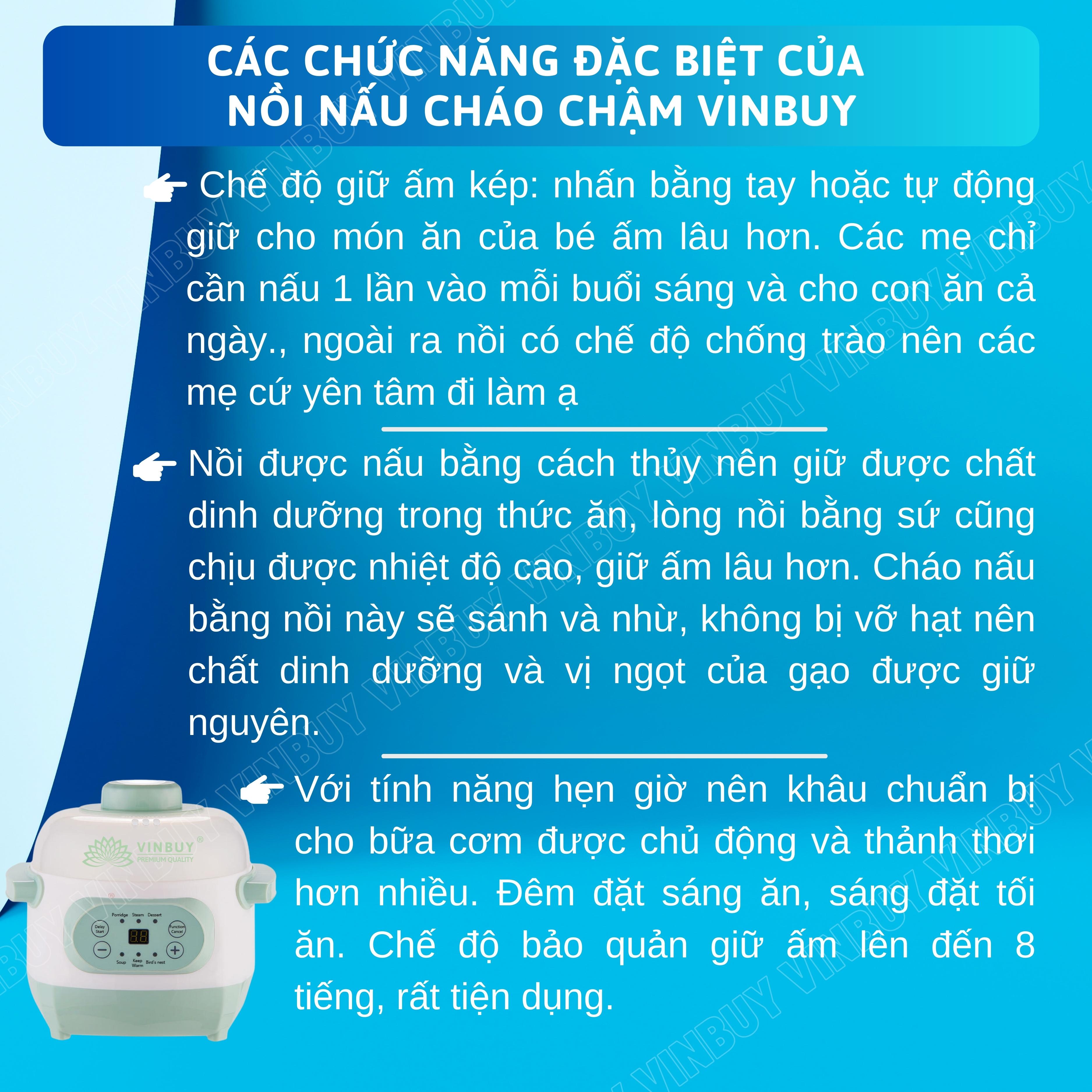 Nồi nấu cháo chậm VINBUY cho bé ăn dặm, nồi chưng yến, nồi tiềm thuốc bắc, nồi nấu chậm, dung tích 1 lít, công suất 200w - Hàng chính hãng