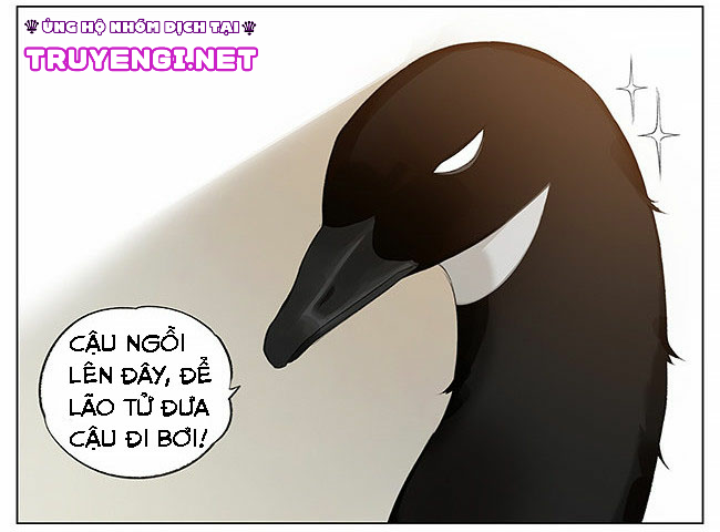 sẻ chiếu mới và nhạn phong sương chapter 8 13