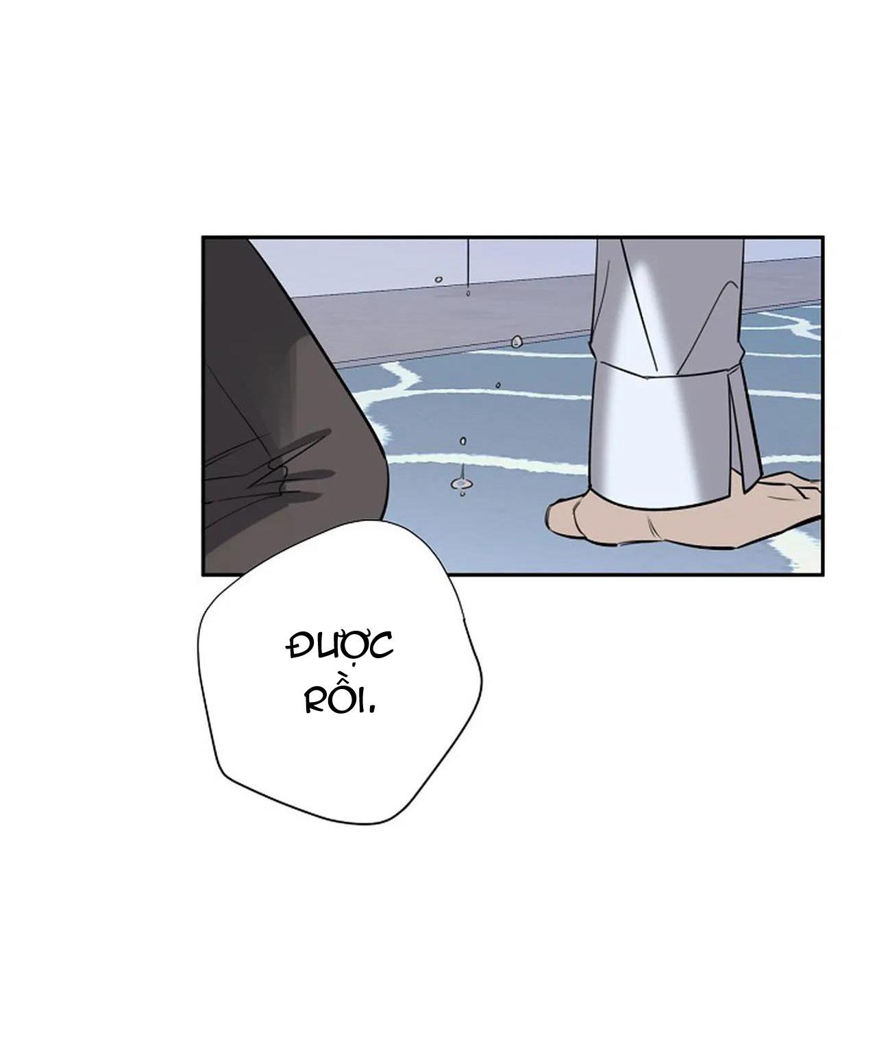 đêm dịu dàng chapter 41 17