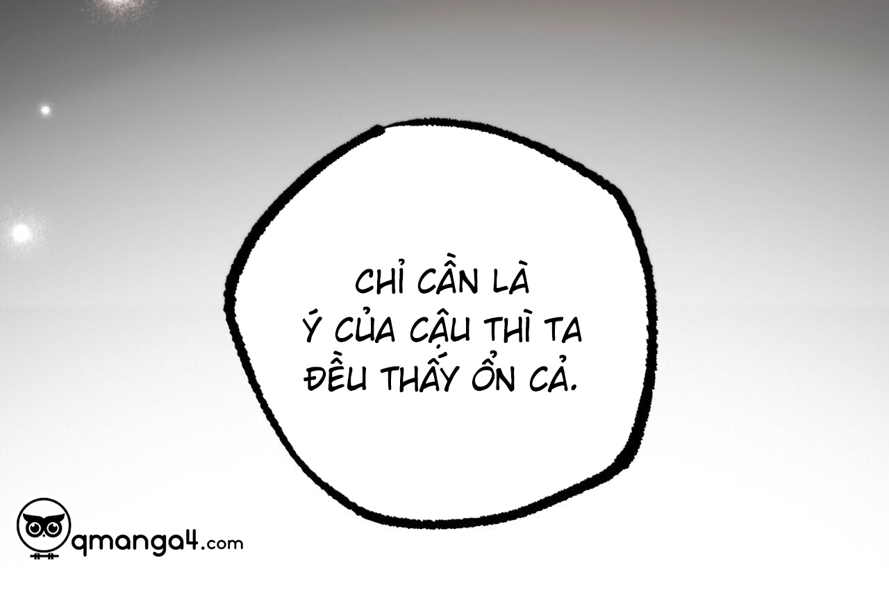 những chú thỏ của hapypy chapter 57 154