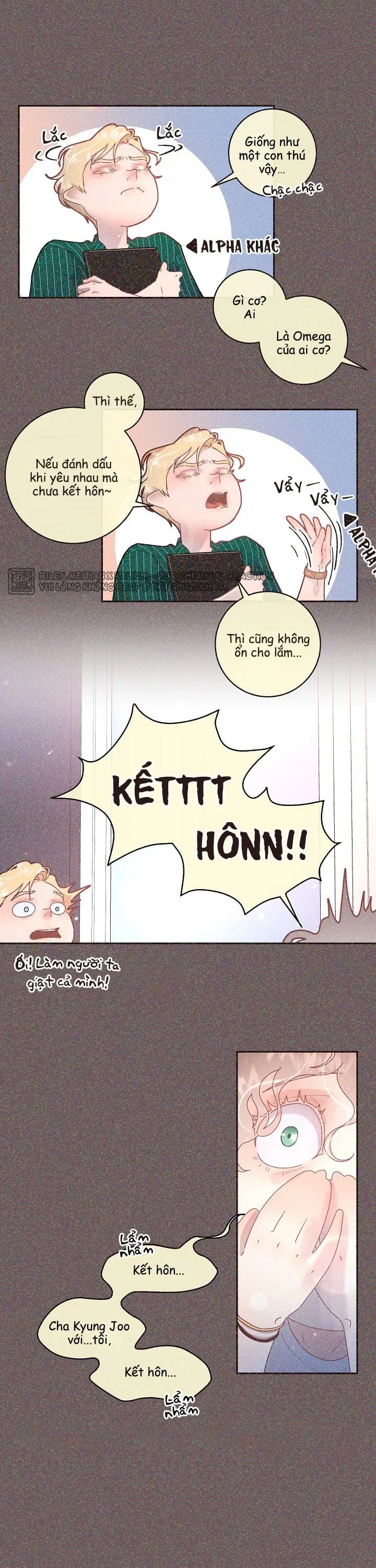 làm cách nào để theo đuổi một alpha? chapter 51 6
