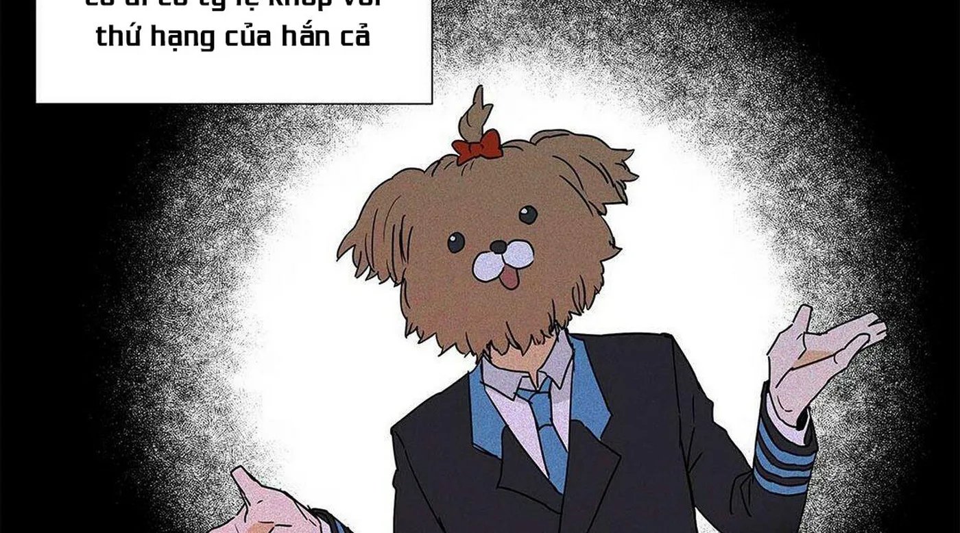 guide cấp b chapter 6 15