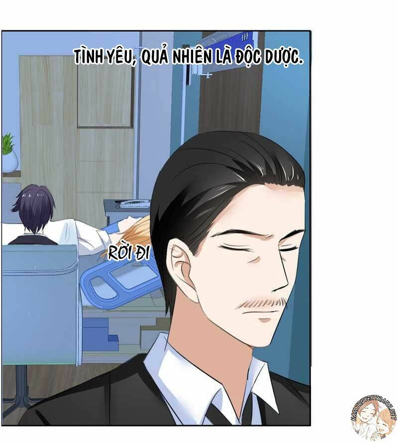 độc sủng kiều thê của bá đạo tổng tài chapter 40 12