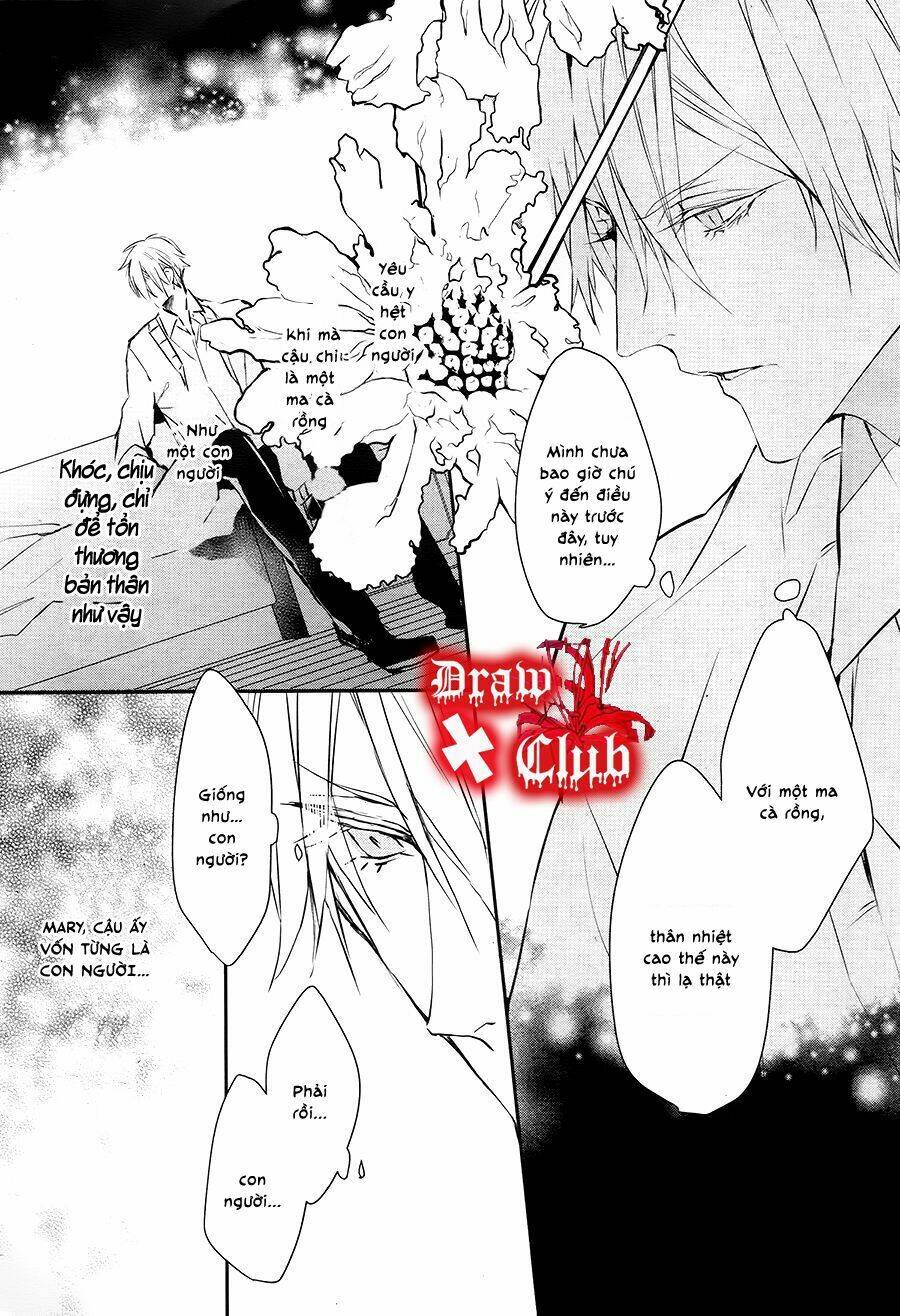 đẫm máu đức mẹ chapter 28 17