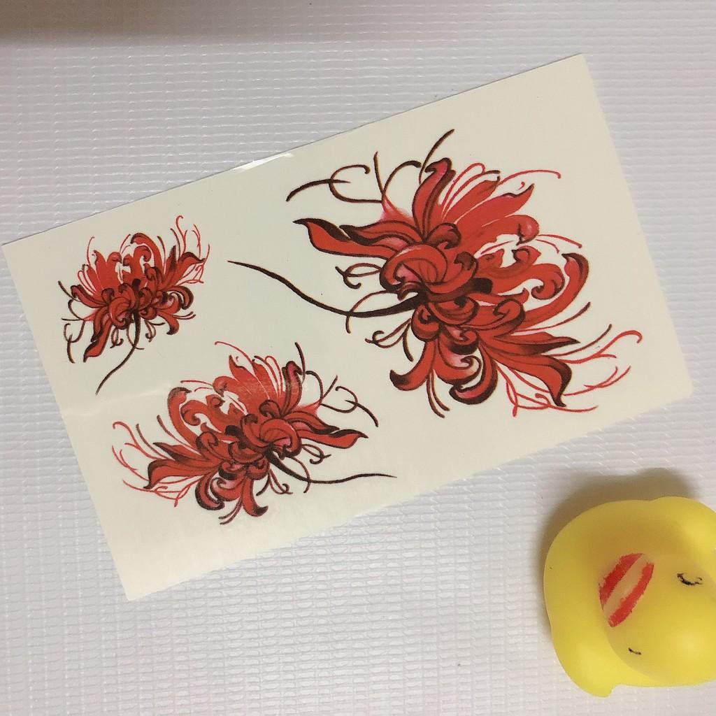 Hình xăm dán hoa bỉ ngạn màu 10x6cm