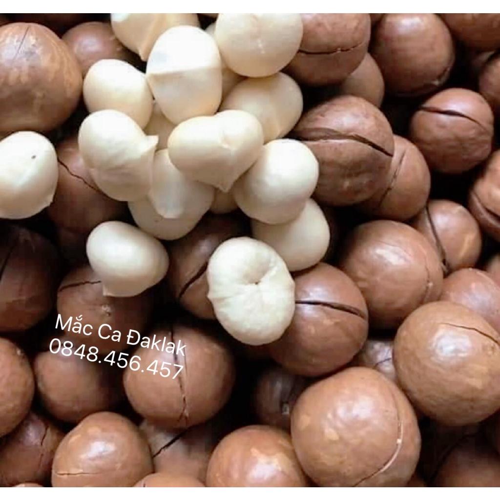 Hạt Macca Organic ĐăkLăk Size A Sấy Lạnh Giữ Trọn Vẹn Dinh Dưỡng Hạt