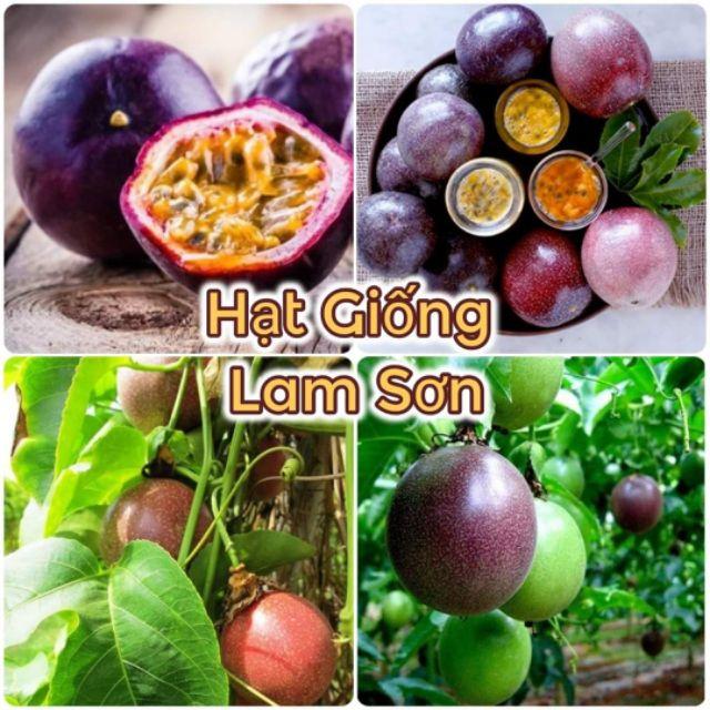 HẠT GIỐNG QUẢ CHANH DÂY - Siêu Quả, Quả To, Rất Thơm Ngon.