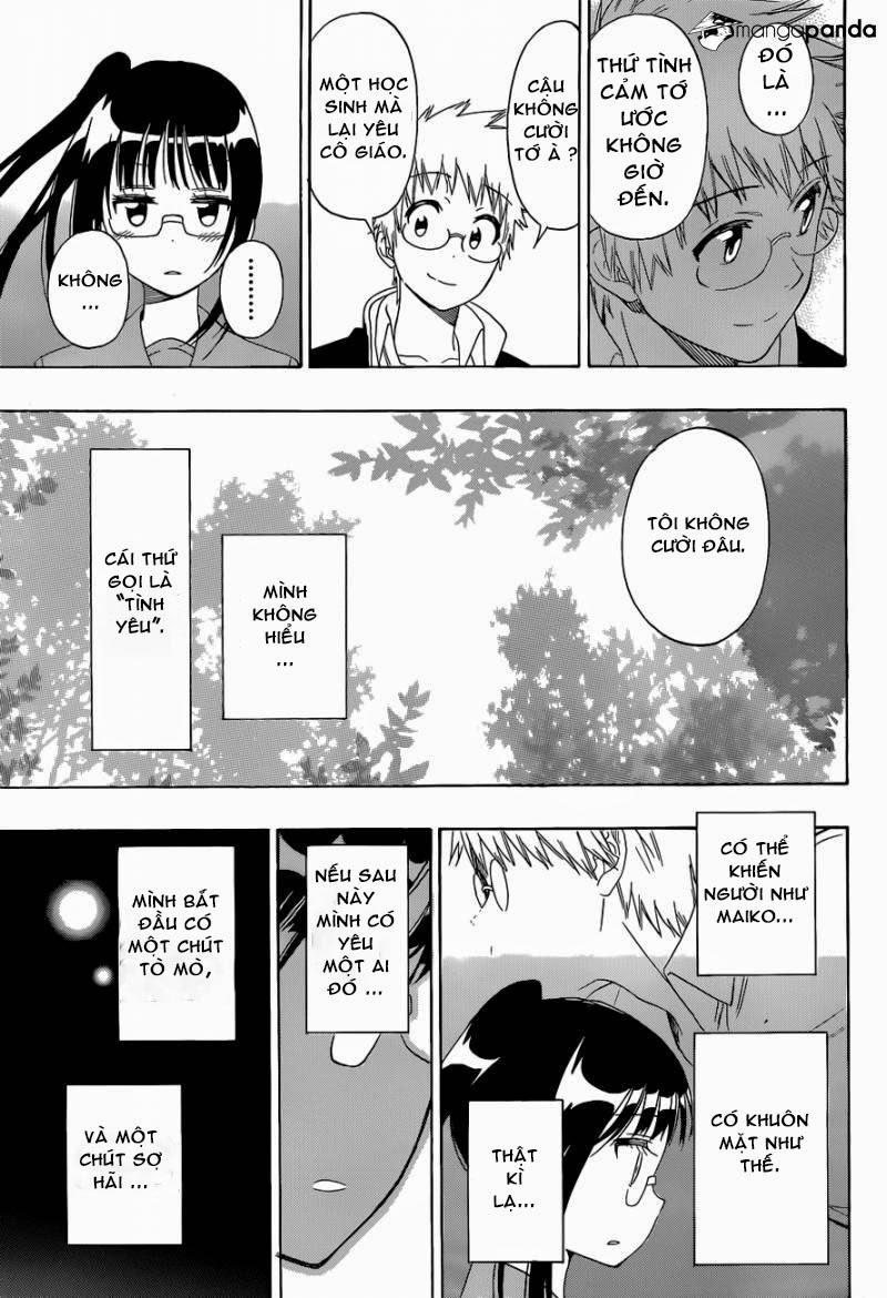 nisekoi - tình yêu giả tạo chapter 141 19